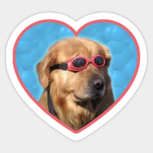 Swimming Goggle Dog Sticker